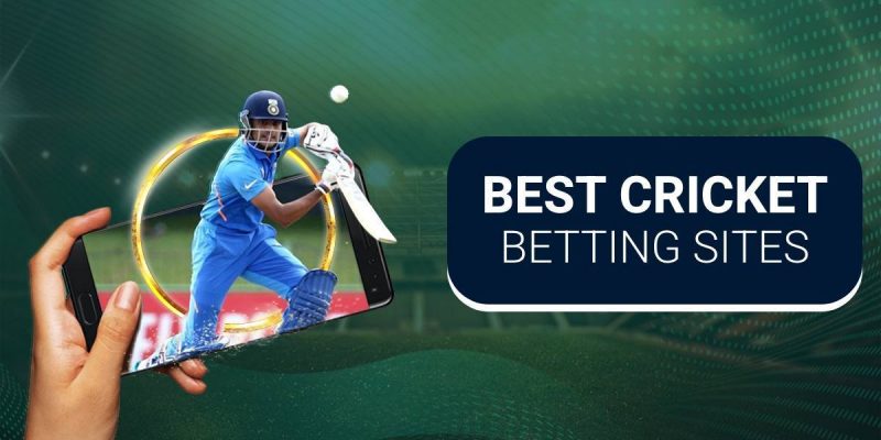 Unlocking the Thrill: Exploring T20exchange and Playinexch for Cricket Betting