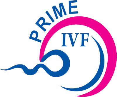 What should I eat during IVF cycle – Prime IVF?